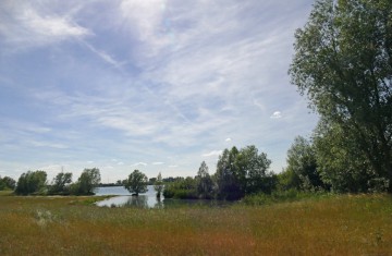 Engagement für den Niederrhein: Biotoplagune am Reeser Meer