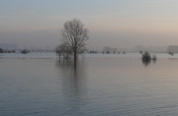 Kiesindustrie will sich bei Hochwasserschutz einbringen