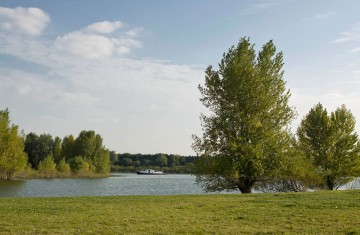 leistungen-training